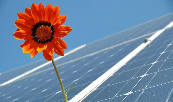一種新型冠狀病毒阻止了太陽能發(fā)電世界紀(jì)錄的(圖1) 太陽能發(fā)電設(shè)備價格